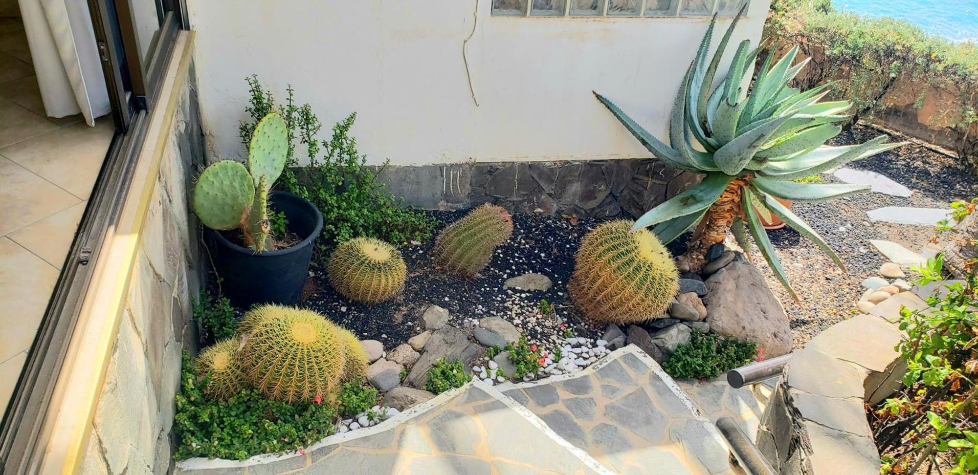 Bungalow Uno - Front Line Of Ocean San Bartolomé 外观 照片